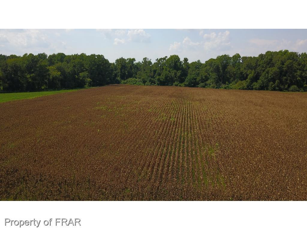 Pleasant Hope Road Fairmont, NC 28340 - Photo 13 of 19 Photo 13