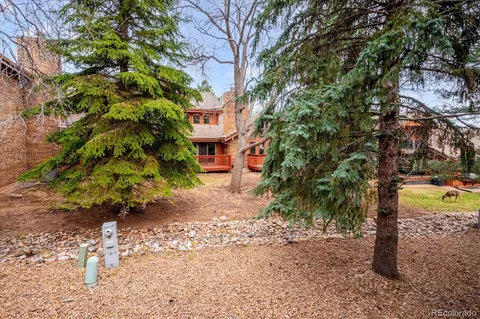 a view of a yard with plants and trees