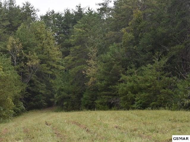 1618 Dixon Branch Road Sevierville, TN 37876 - Photo 12 of 19 Gallery Image 12