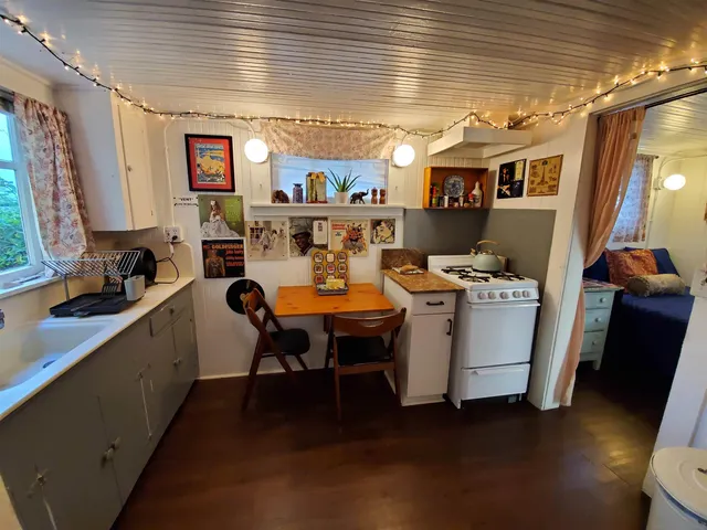a view of a backyard with plants