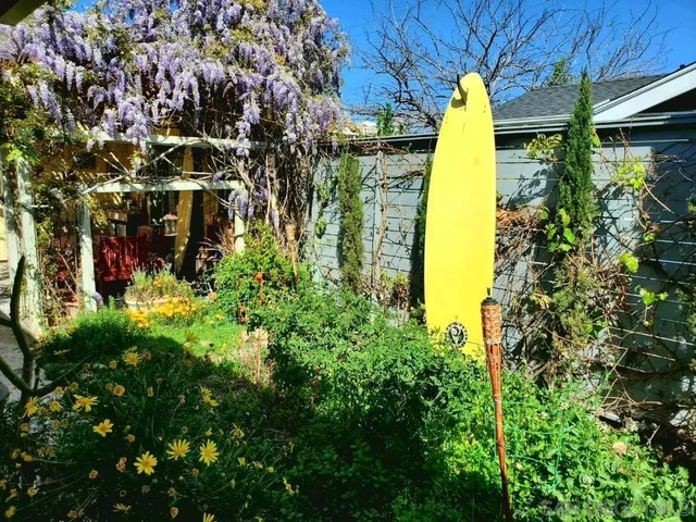 a view of a yard with a table and plants