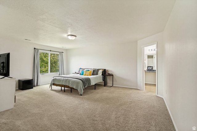 1427 South 1100th Street West Springville, UT 84663 - Photo 19 of 44