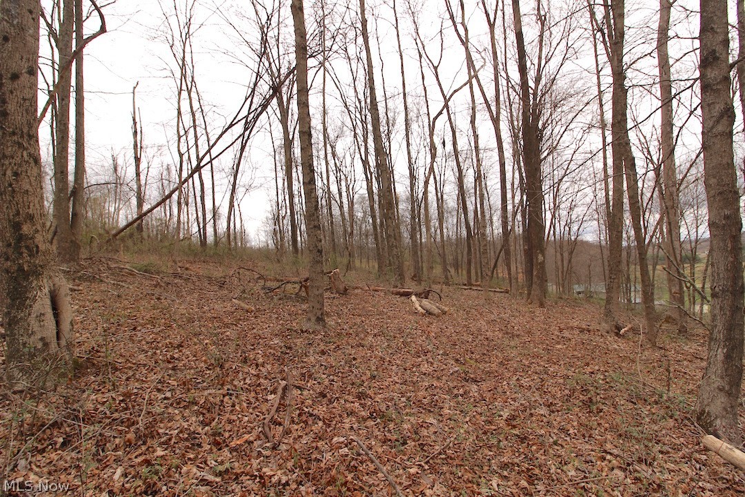 53483 Opossum Run Road Senecaville, OH 43780 - Photo 13 of 25 Gallery Image 13