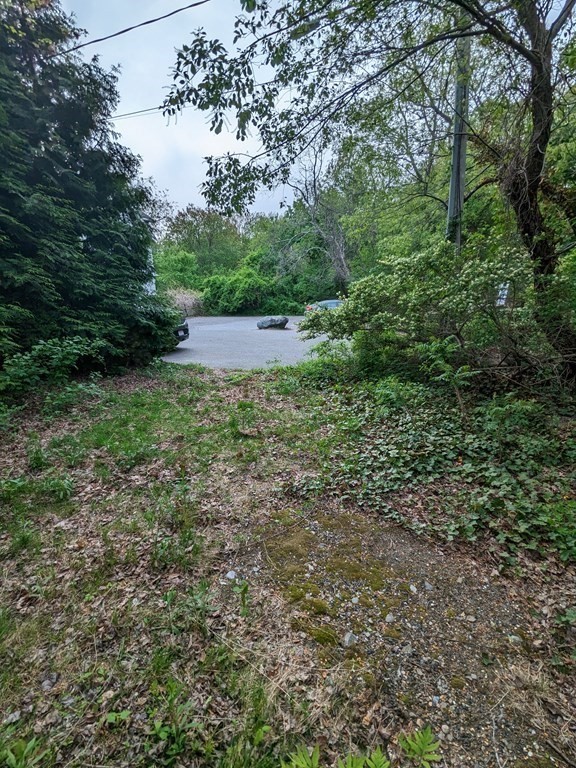 17 Risley Road Marblehead, MA 01945 - Photo 8 of 10 Gallery Image 8