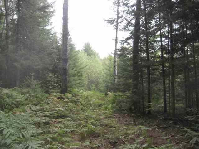 Off Sandy Beach Road Park Falls, WI 54552 - Photo 1 of 7 Gallery Image 1