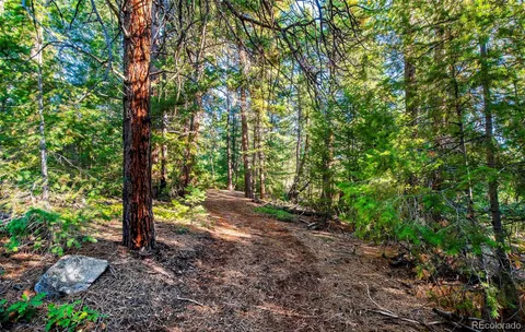 a big yard with flowing stream of water in middle