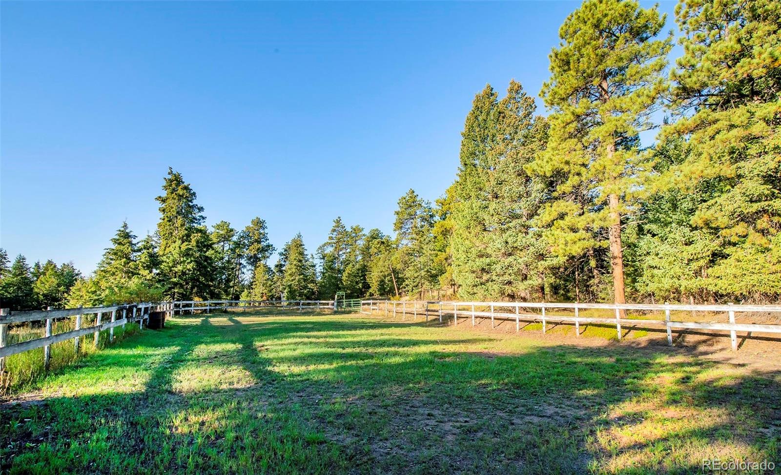 8838 South Hillview Road Morrison, CO 80465 - Photo 9 of 47 a view of a golf course with a trees