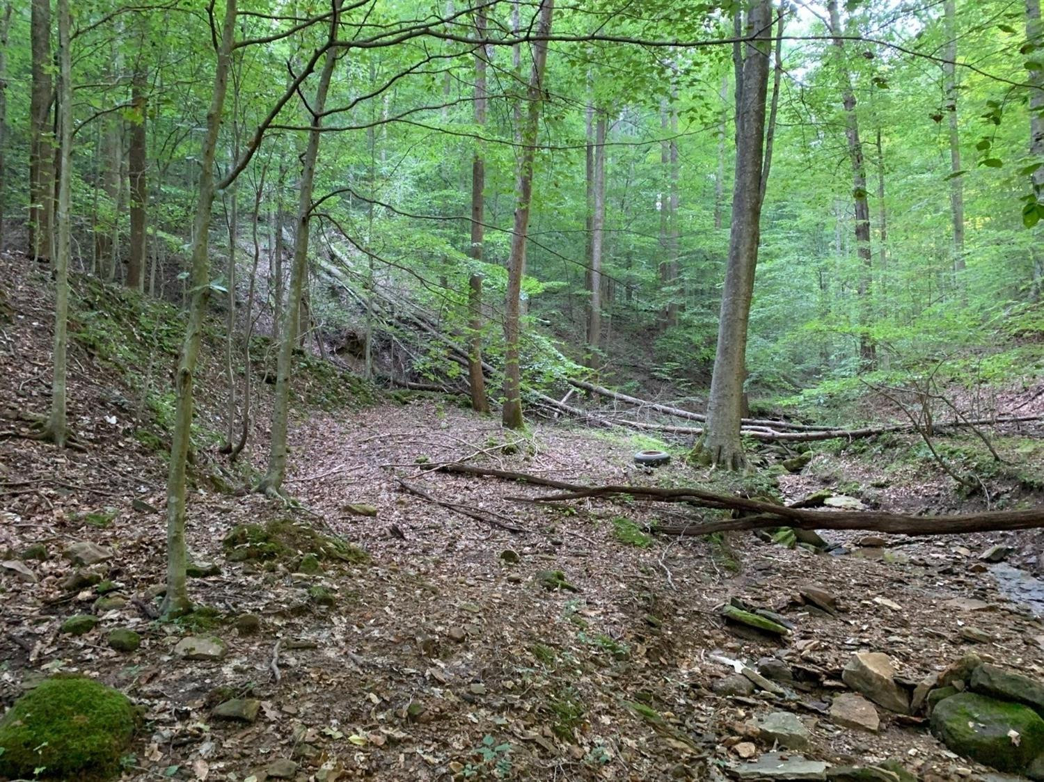 0 Upper Cane Creek Road Stanton, KY 40380 - Photo 11 of 34 Photo 11
