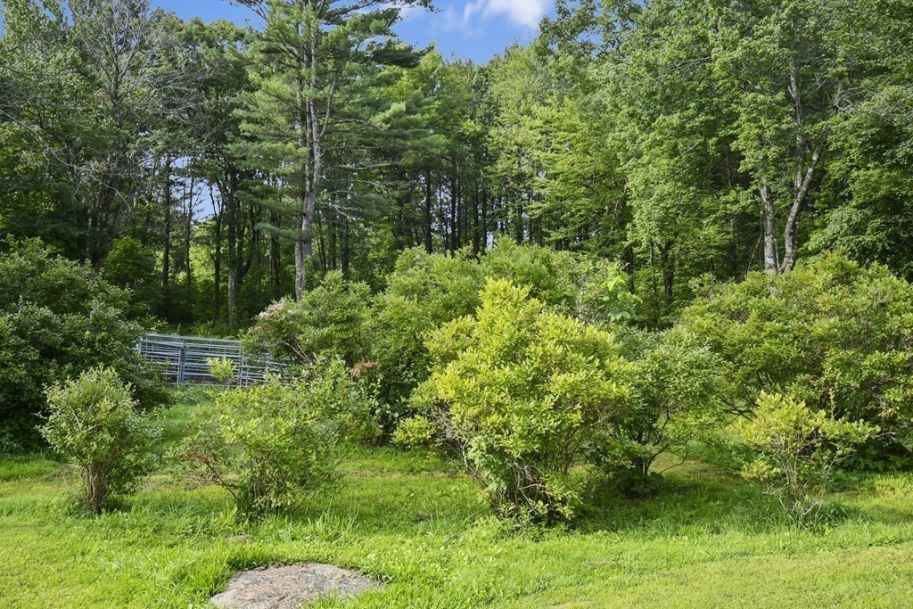 363 State Road Phillipston, MA 01331 - Photo 26 of 31