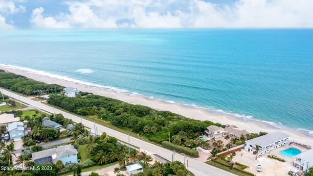 a view of a yard with potted plants