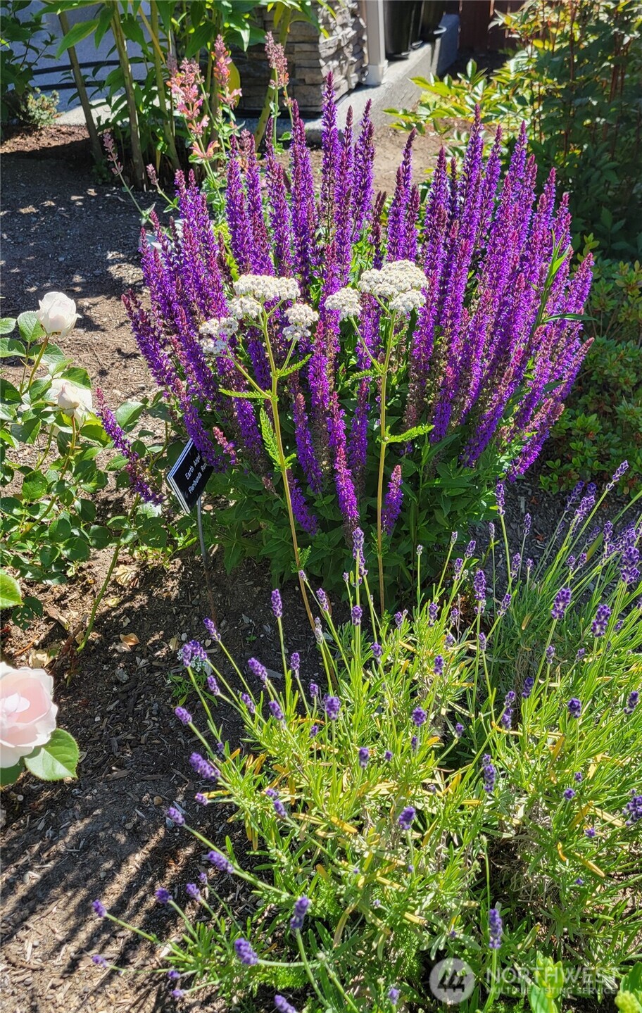 17715 2nd Avenue West Bothell, WA 98012 - Photo 31 of 35