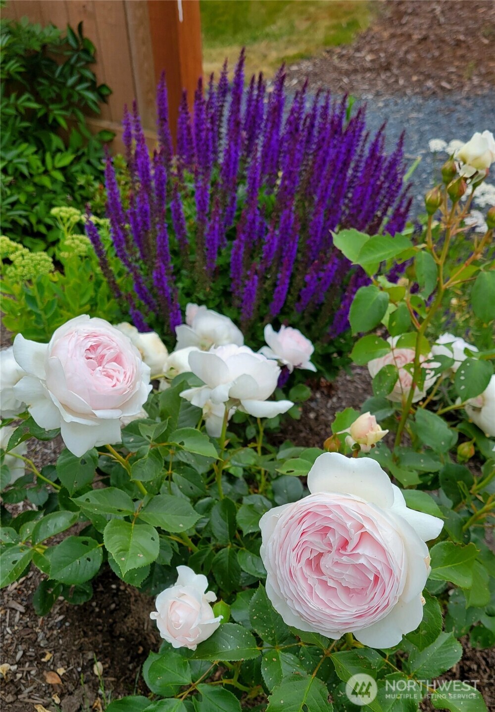 17715 2nd Avenue West Bothell, WA 98012 - Photo 32 of 35