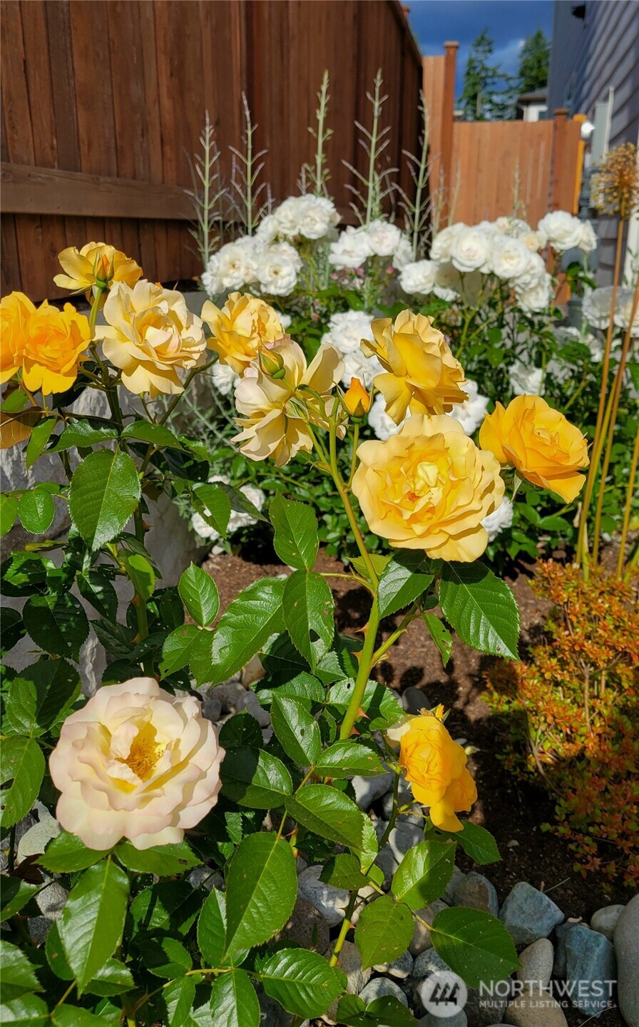 17715 2nd Avenue West Bothell, WA 98012 - Photo 33 of 35