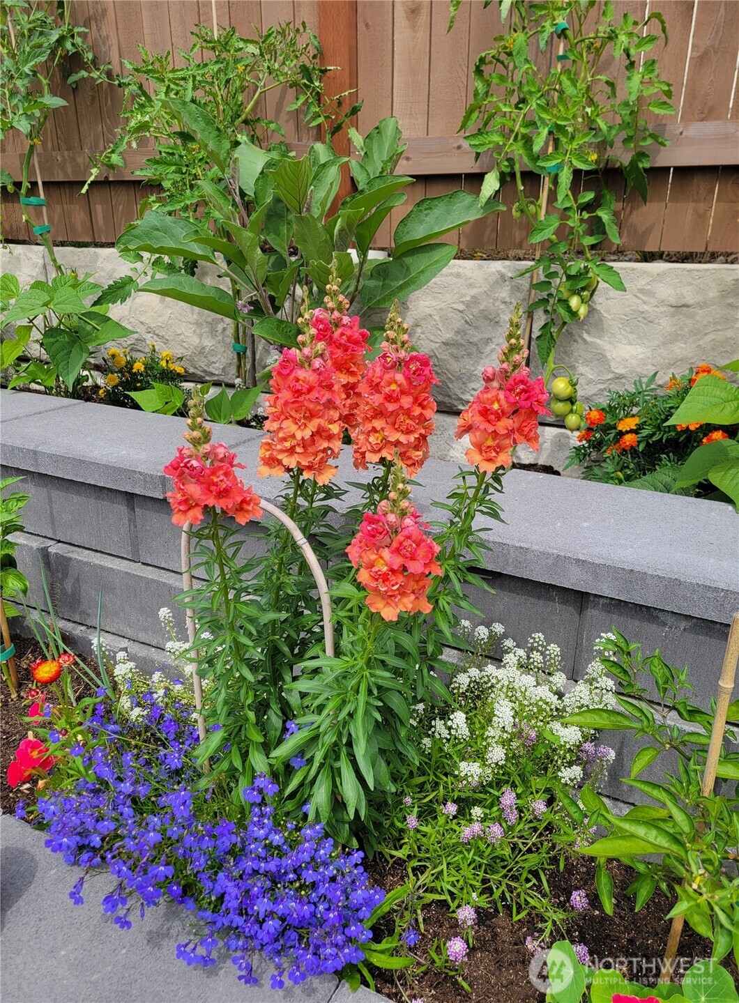 17715 2nd Avenue West Bothell, WA 98012 - Photo 34 of 35