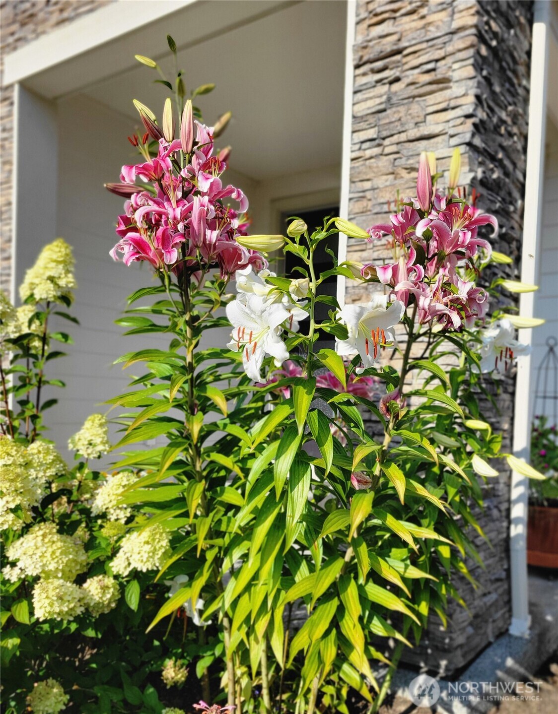 17715 2nd Avenue West Bothell, WA 98012 - Photo 35 of 35