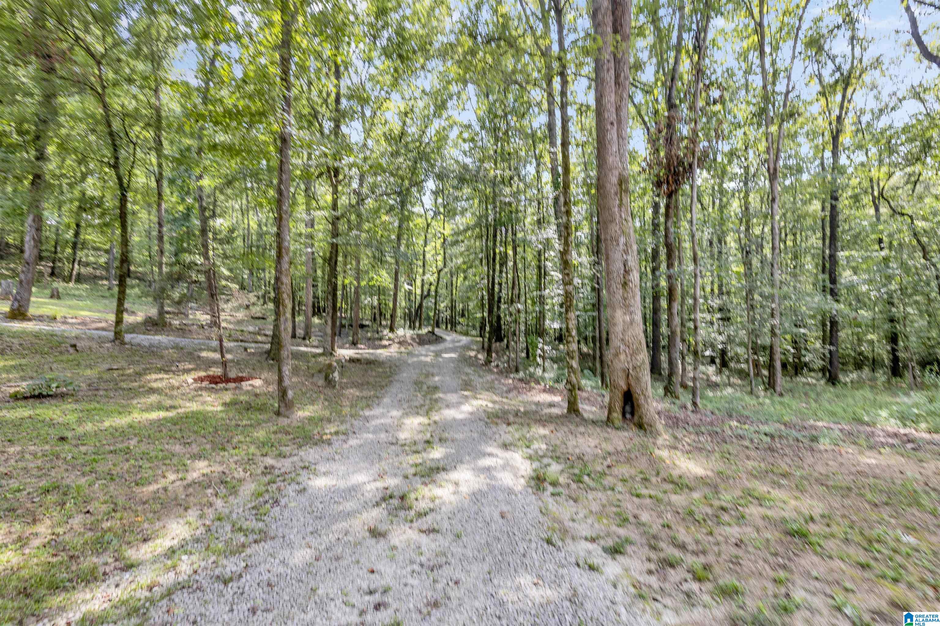 445 Berrington Lane Springville, AL 35146 - Photo 34 of 55 Gallery Image 34