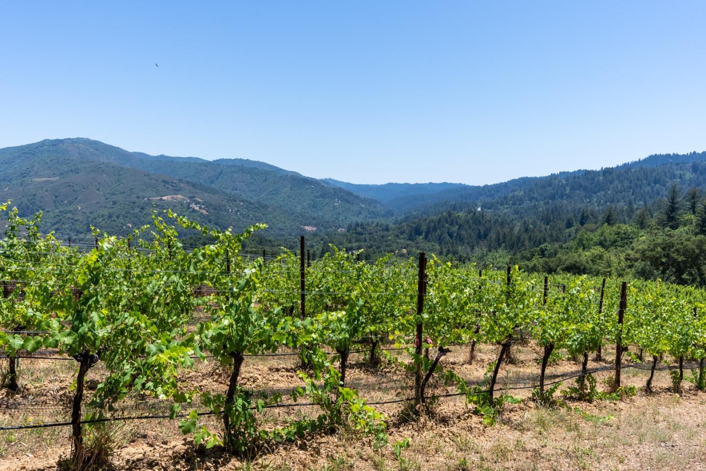 18590 Black Road Los Gatos, CA 95033 - Photo 14 of 24 a view of an outdoor space with mountain view