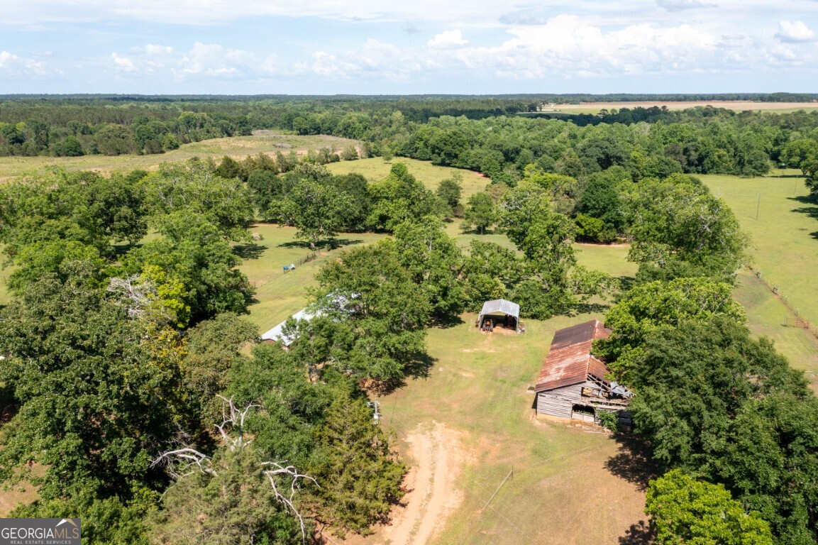 780 Jenkins Road Blakely, GA 39823 - Photo 16 of 41