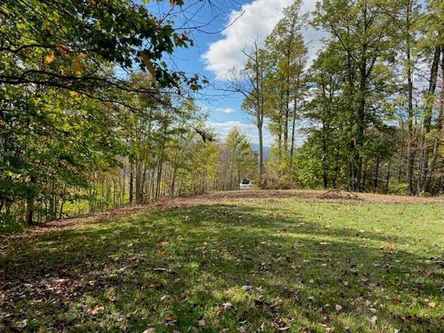 2 Which A Way Sevierville, TN 37862 - Photo 13 of 22