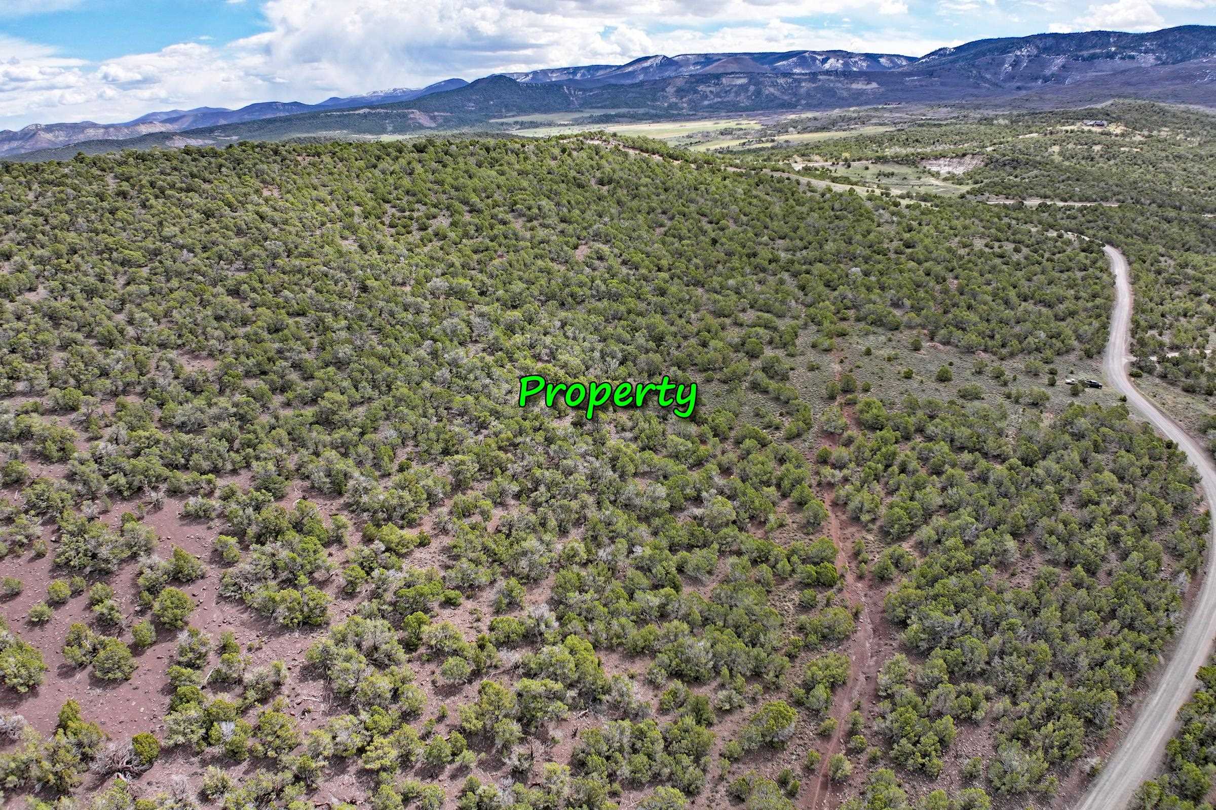 Tbd KK Road Collbran, CO 81624 - Photo 5 of 11 a view of a area with an outdoor space
