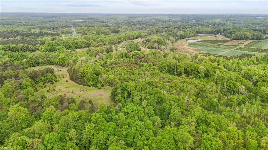 4100 High Rock Road Gibsonville, NC 27249 - Photo 11 of 38
