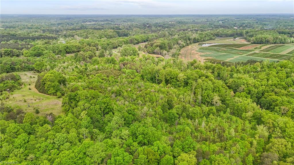 4100 High Rock Road Gibsonville, NC 27249 - Photo 12 of 38