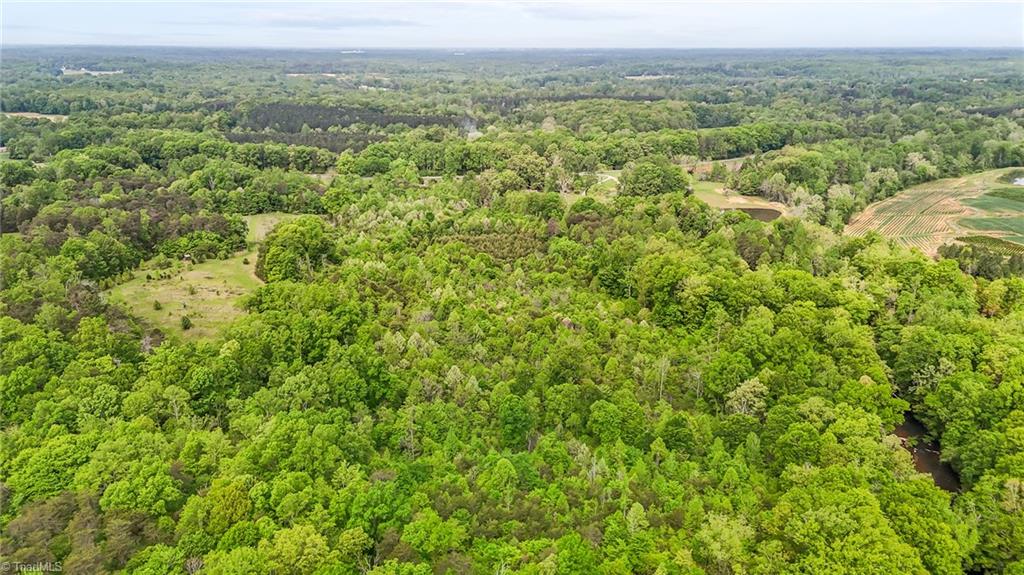 4100 High Rock Road Gibsonville, NC 27249 - Photo 13 of 38