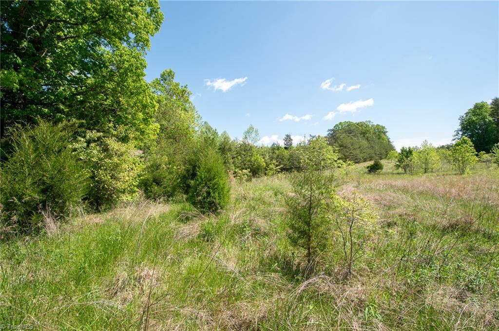 4100 High Rock Road Gibsonville, NC 27249 - Photo 23 of 38