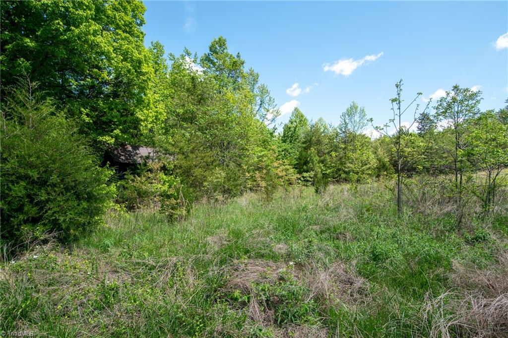 4100 High Rock Road Gibsonville, NC 27249 - Photo 24 of 38