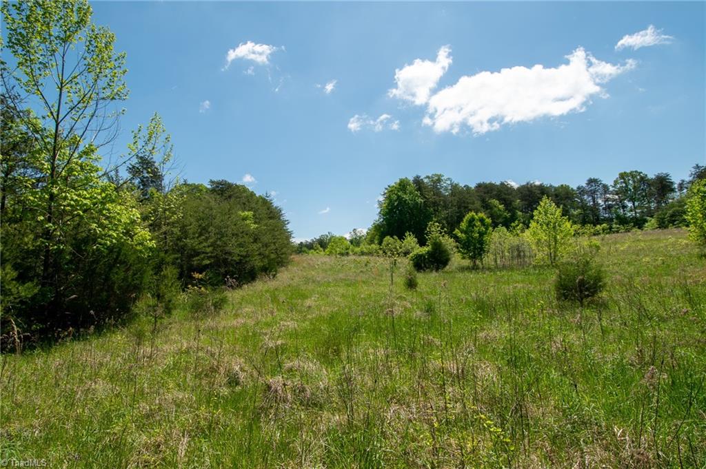 4100 High Rock Road Gibsonville, NC 27249 - Photo 25 of 38