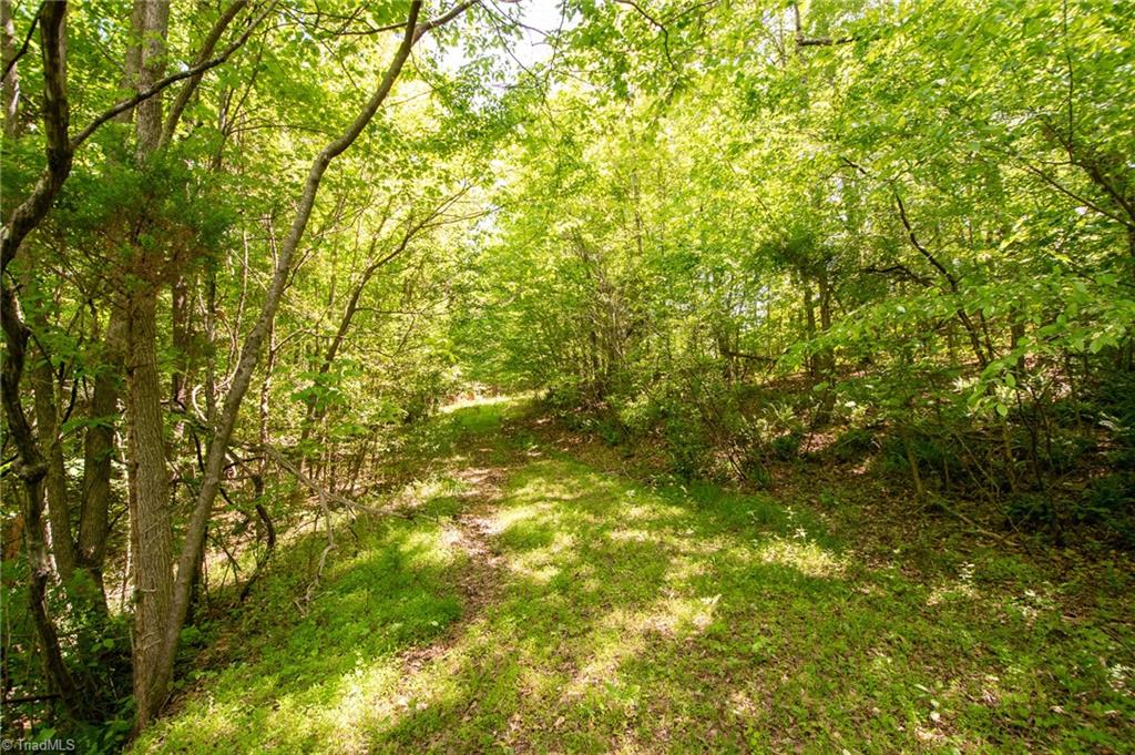 4100 High Rock Road Gibsonville, NC 27249 - Photo 26 of 38