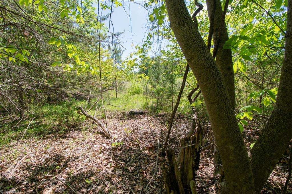 4100 High Rock Road Gibsonville, NC 27249 - Photo 27 of 38