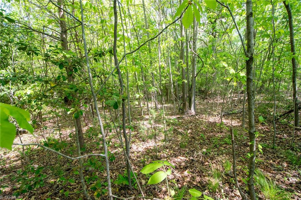 4100 High Rock Road Gibsonville, NC 27249 - Photo 28 of 38