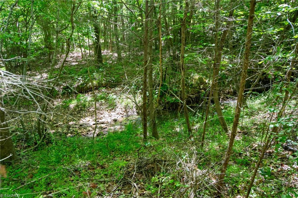 4100 High Rock Road Gibsonville, NC 27249 - Photo 29 of 38