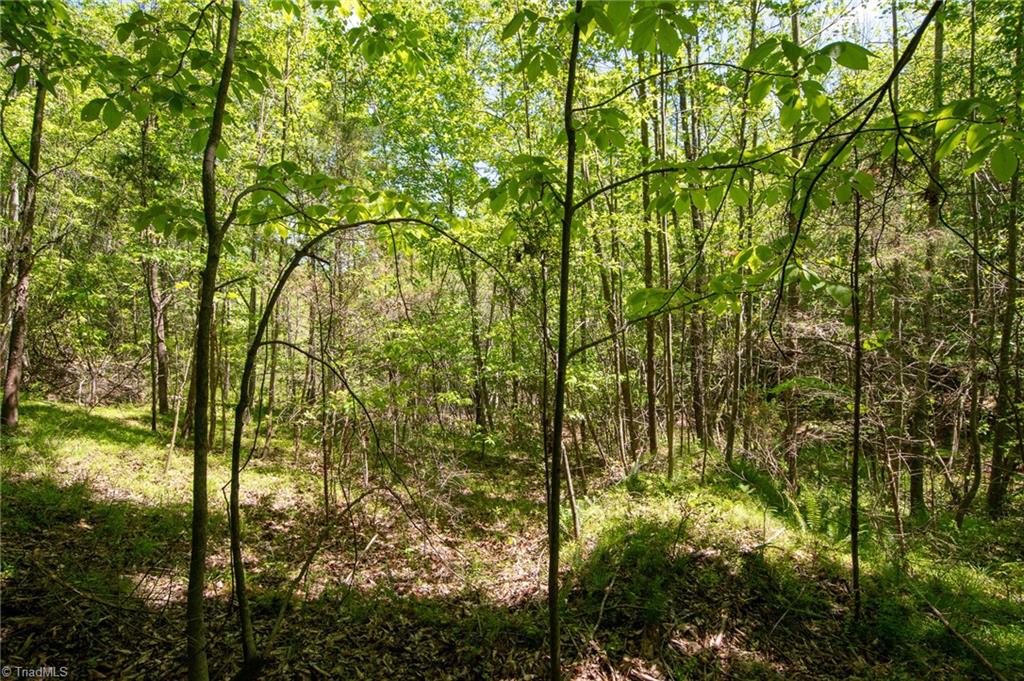 4100 High Rock Road Gibsonville, NC 27249 - Photo 30 of 38