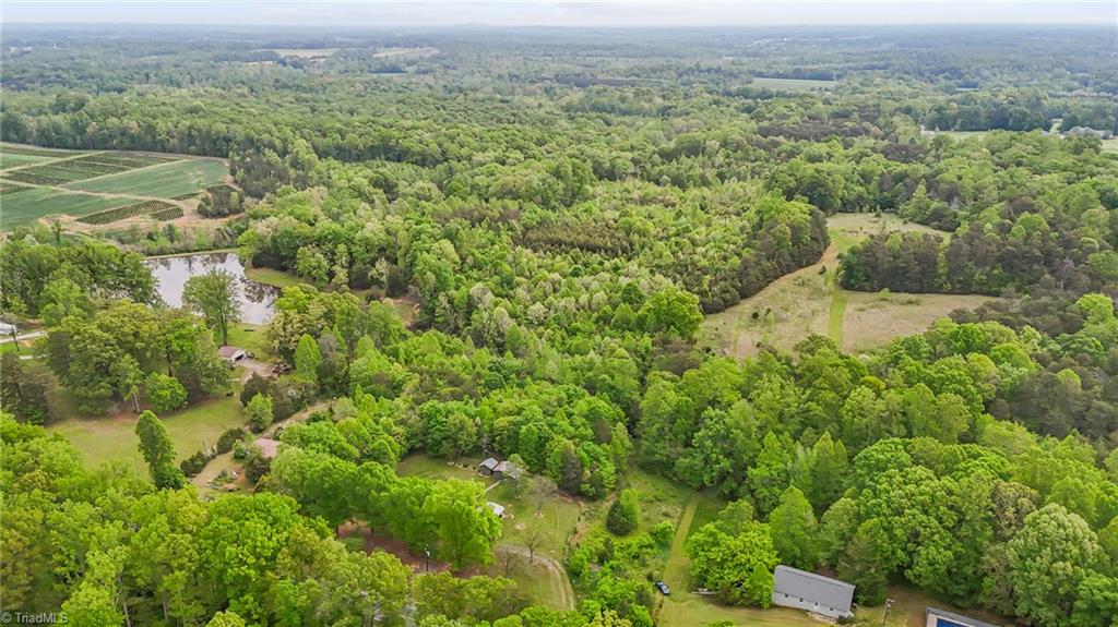 4100 High Rock Road Gibsonville, NC 27249 - Photo 4 of 38