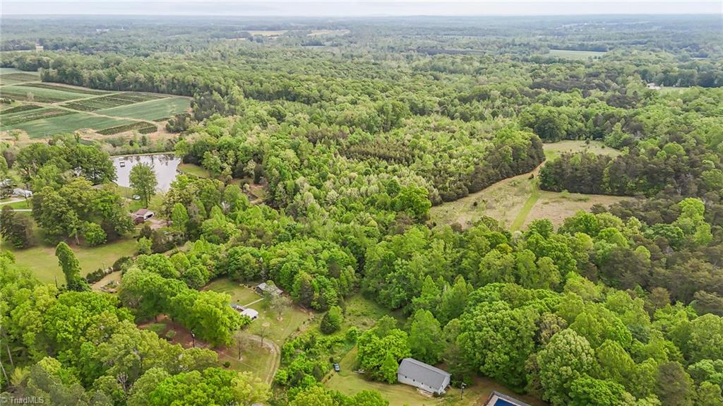4100 High Rock Road Gibsonville, NC 27249 - Photo 5 of 38