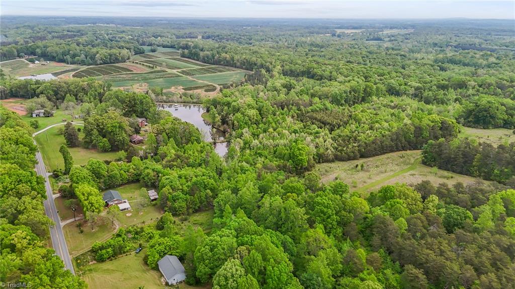 4100 High Rock Road Gibsonville, NC 27249 - Photo 6 of 38