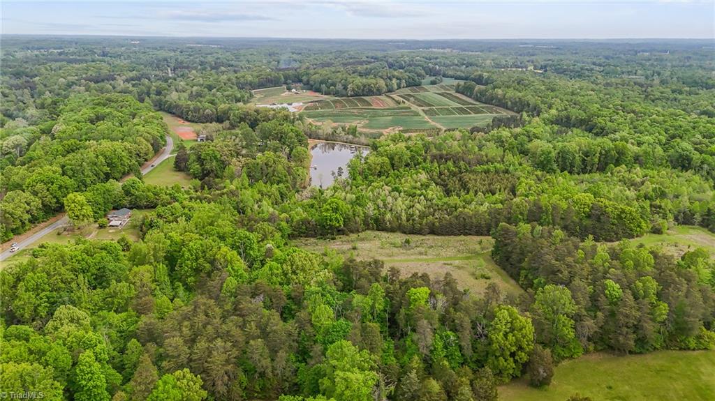 4100 High Rock Road Gibsonville, NC 27249 - Photo 7 of 38