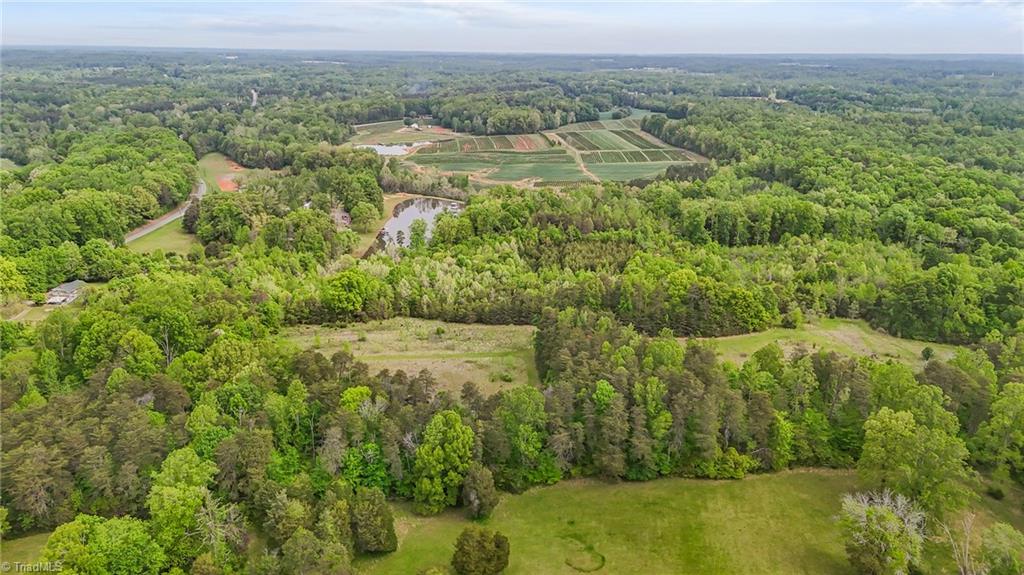 4100 High Rock Road Gibsonville, NC 27249 - Photo 8 of 38