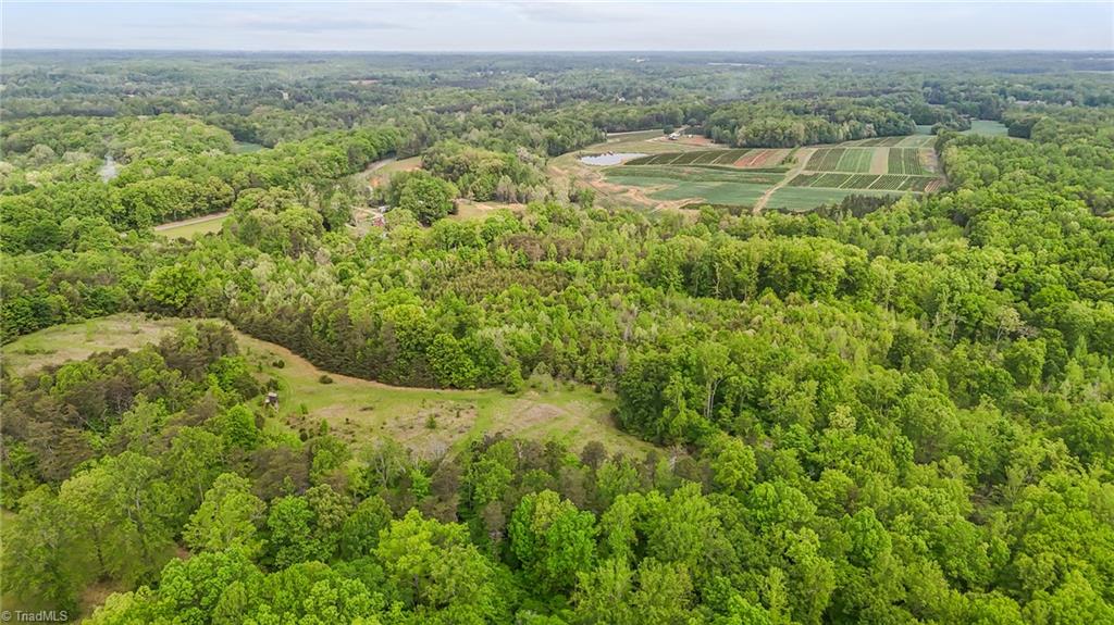 4100 High Rock Road Gibsonville, NC 27249 - Photo 10 of 38