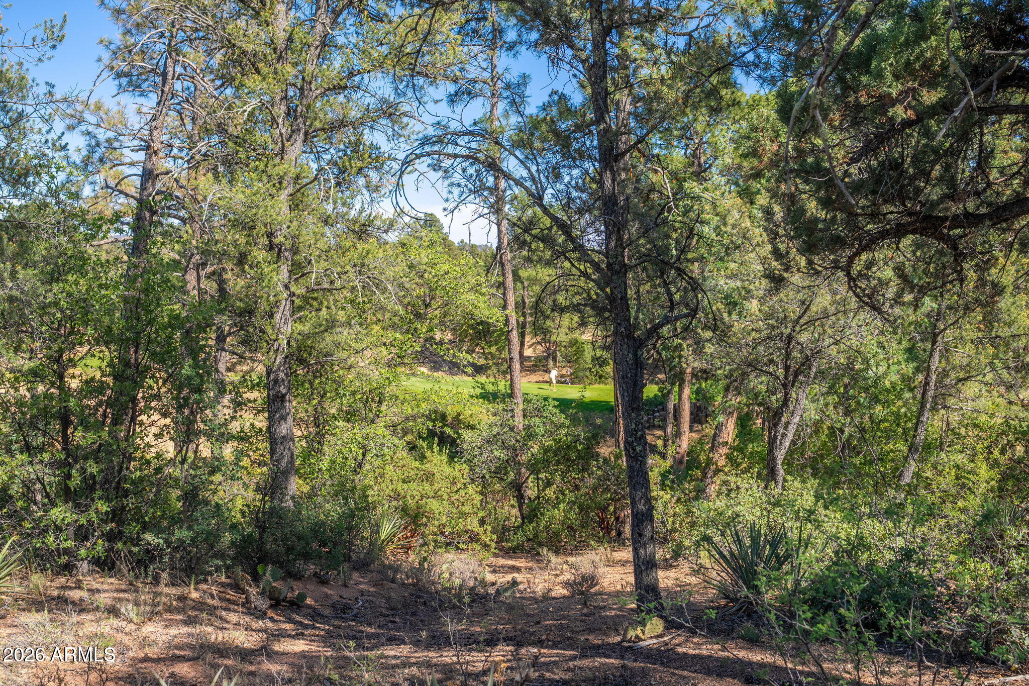 506 South Primeval, Unit 79 Payson, AZ 85541 - Photo 43 of 48 506 S Primeval - 41