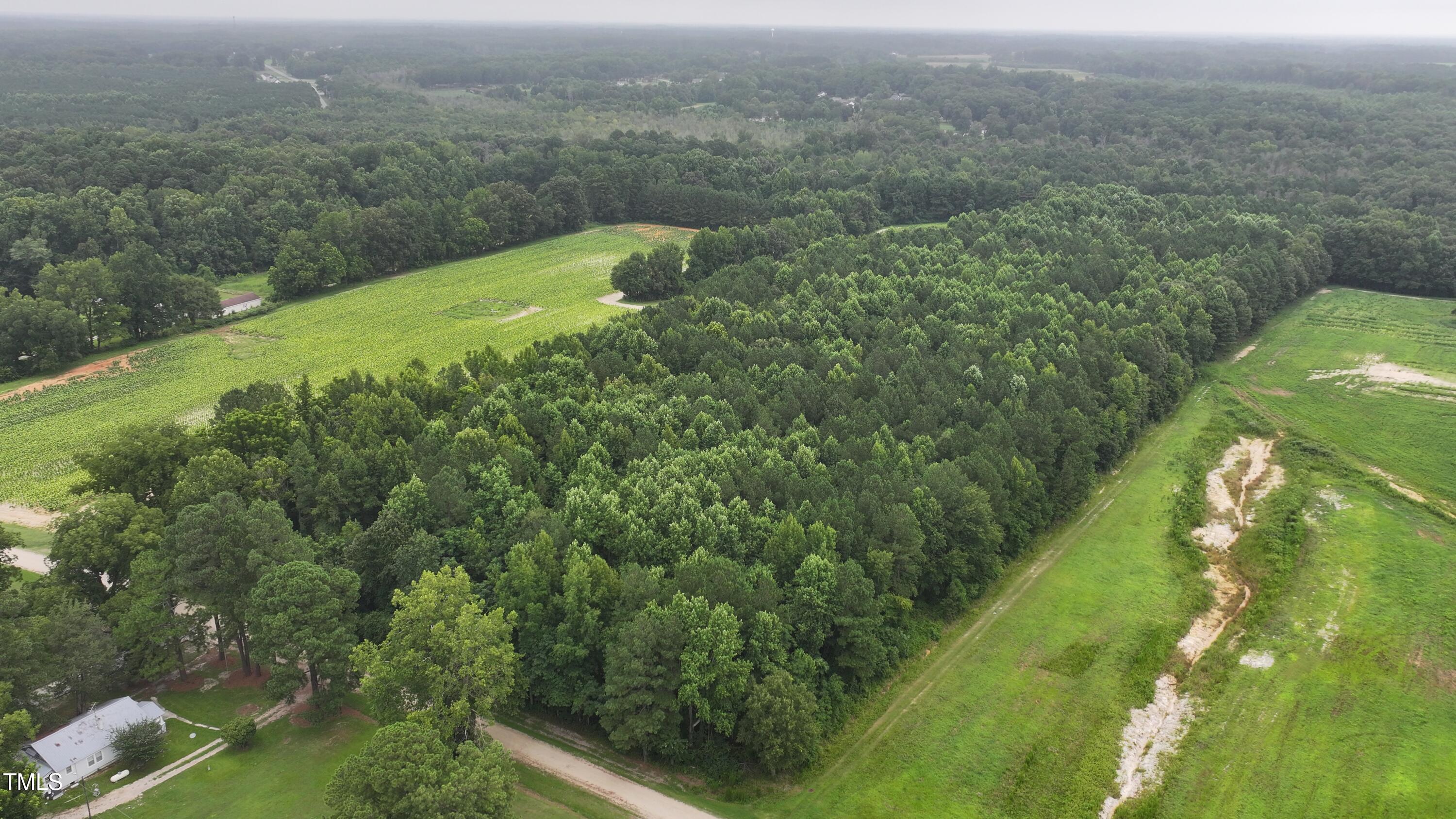 0 James Road Nashville, NC 27856 - Photo 11 of 11 a view of a city from a yard