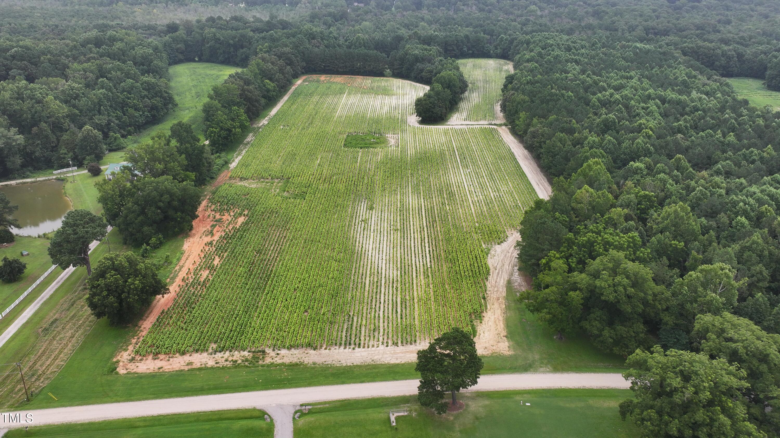 0 James Road Nashville, NC 27856 - Photo 2 of 11 a view of a yard