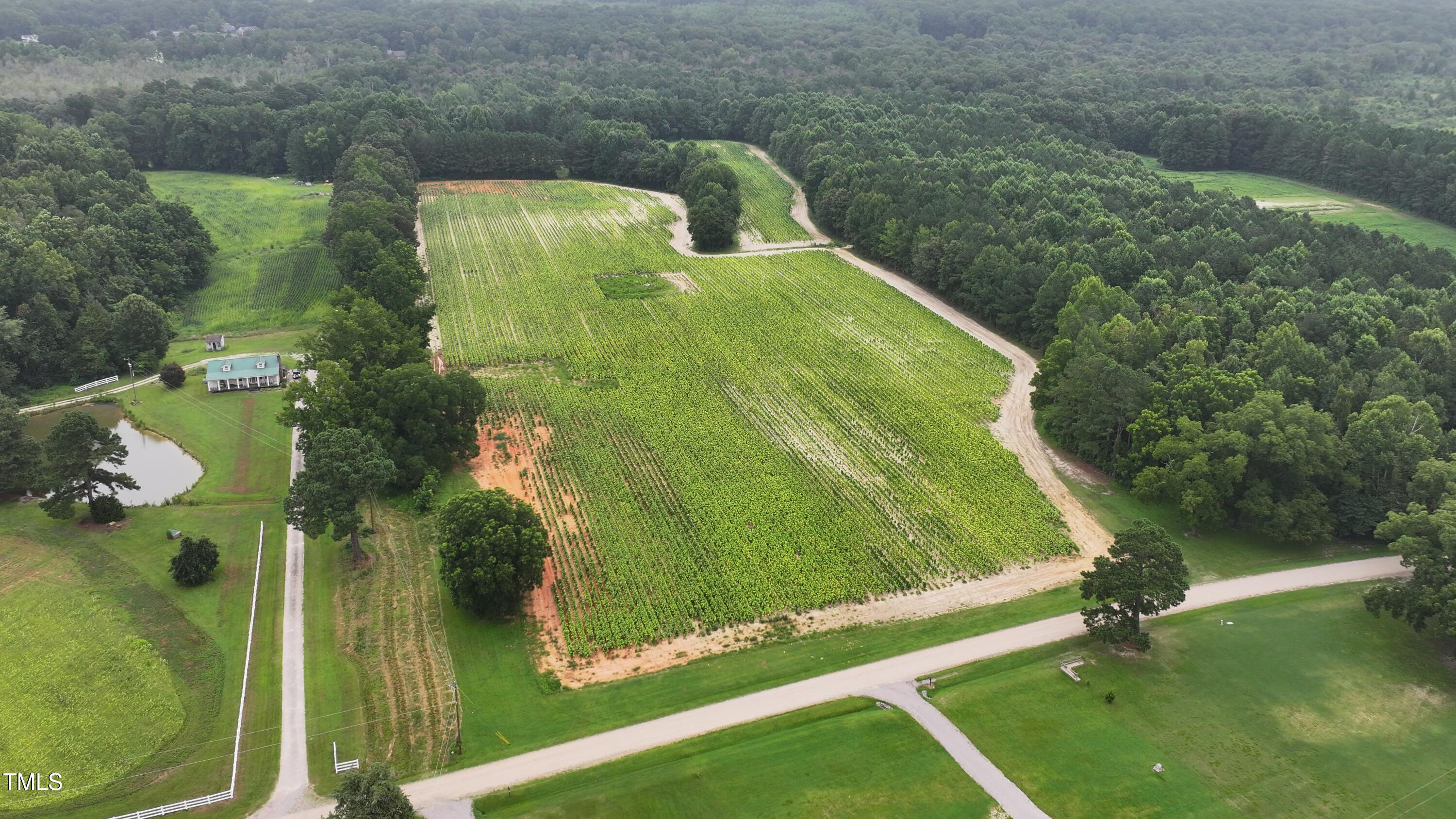 0 James Road Nashville, NC 27856 - Photo 3 of 11 a view of a swimming pool