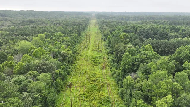 a view of a forest with a street