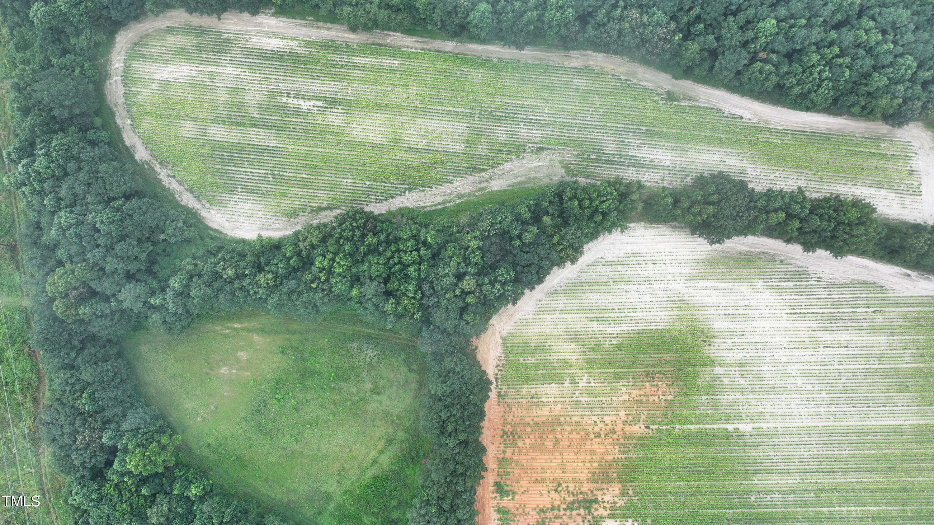 0 James Road Nashville, NC 27856 - Photo 8 of 11 a view of a lake view