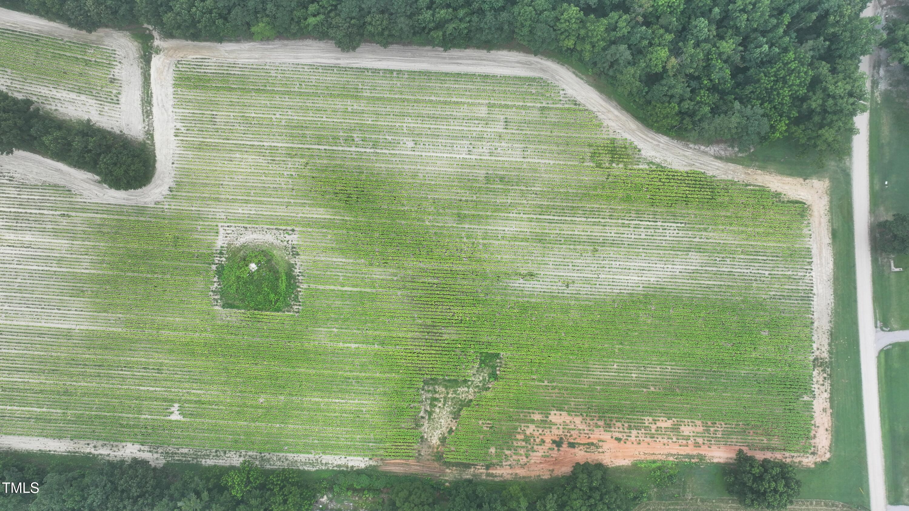 0 James Road Nashville, NC 27856 - Photo 9 of 11 a bathroom with a shower