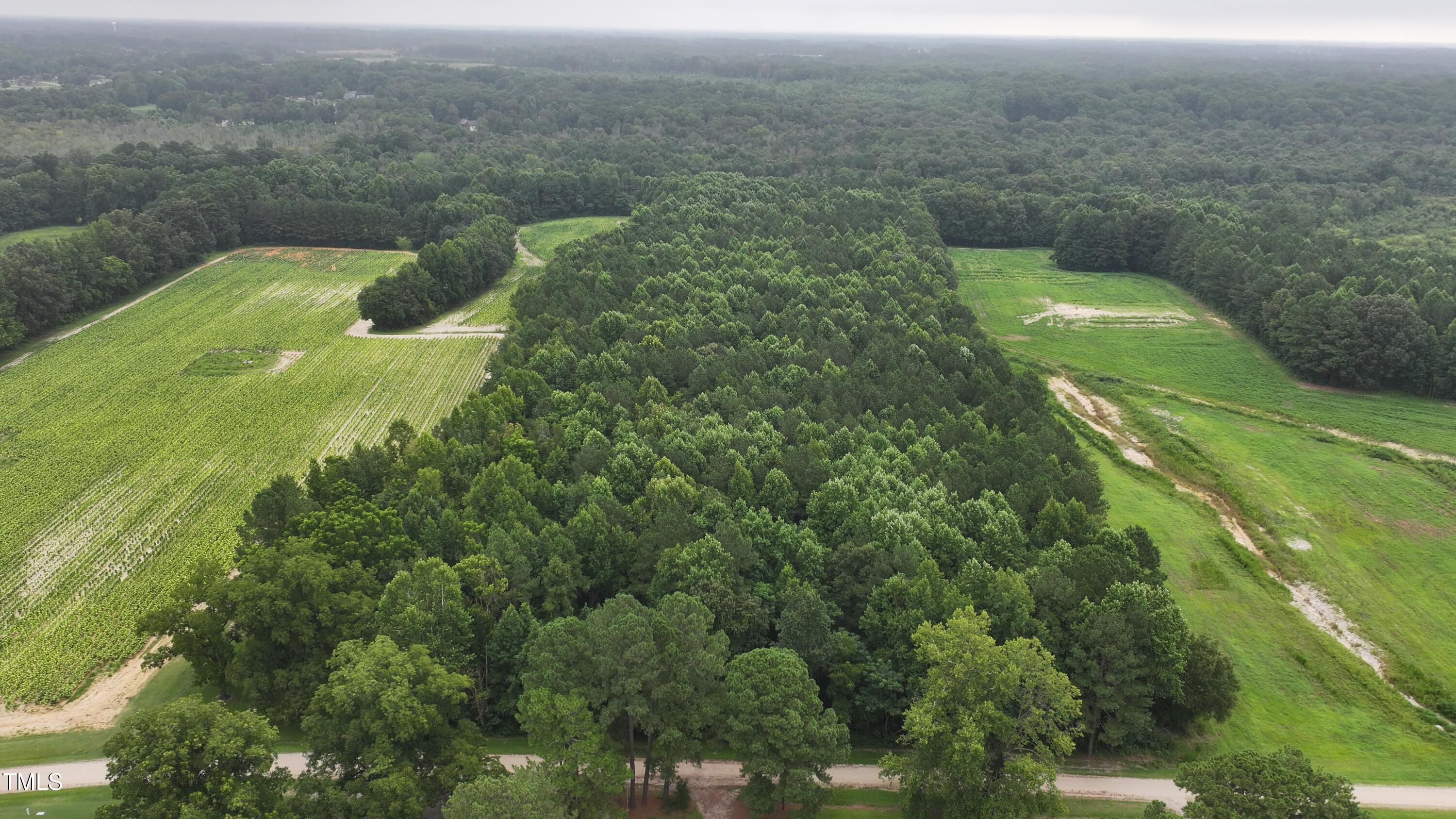 0 James Road Nashville, NC 27856 - Photo 10 of 11 a view of a city