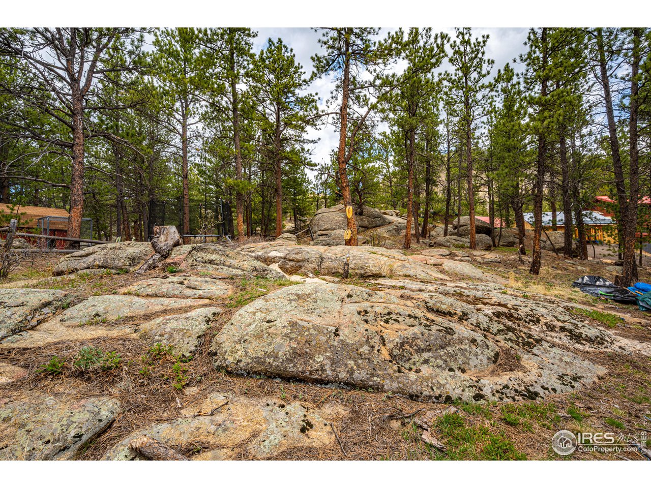 134 Aspen Drive Lyons, CO 80540 - Photo 30 of 36